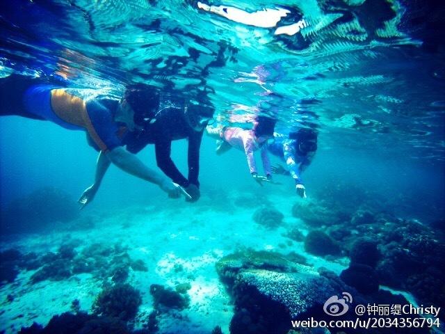 逗小猴开心系列196